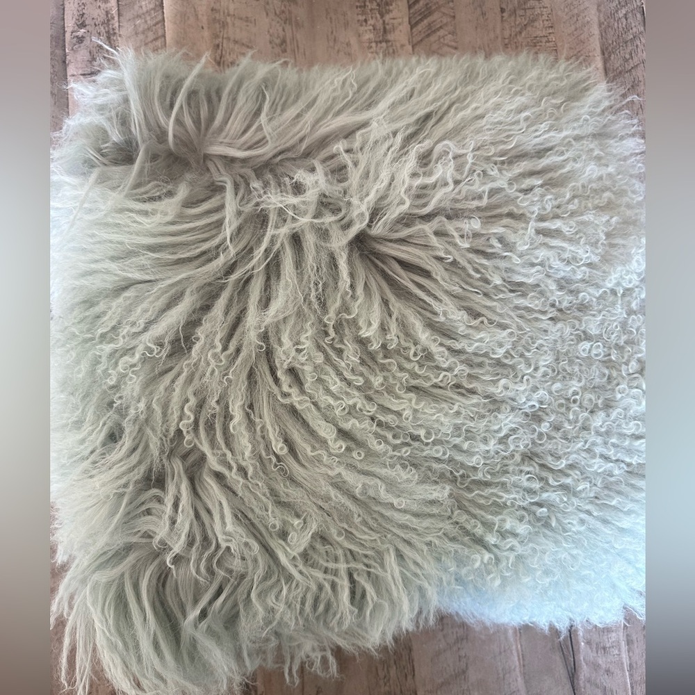 West Elm Pillow